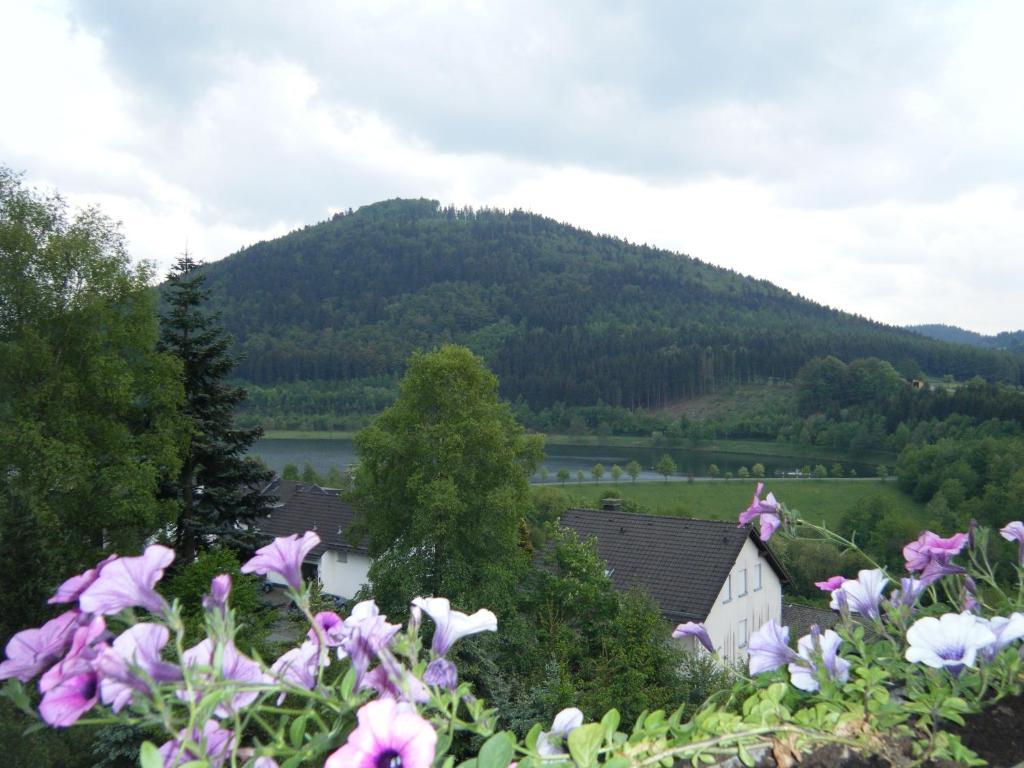 Apartment Schoenblick Winterberg Kültér fotó
